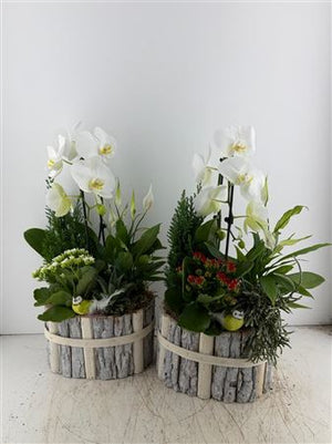 Mixed Beech Wood Oval Arrangement