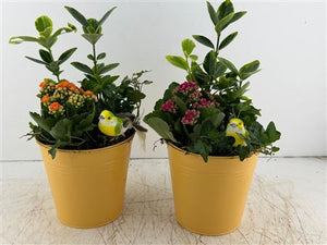 Mixed Colour Flower Arrangement in Yellow Bucket