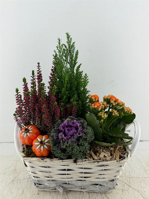 Mixed Colour Floral Arrangement