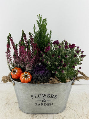 Mixed Flower Garden Arrangement in Oval Zinc Pot
