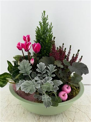 Mixed Green Plant Arrangement in Zinc Bowl