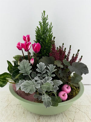 Mixed Green Plant Arrangement in Zinc Bowl