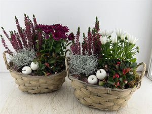 Mixed Floral Arrangement in Grey Oval Pot