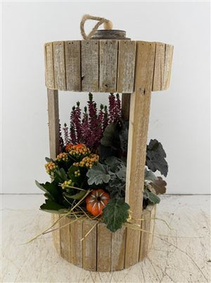 Mixed Colour Lantern Arrangement