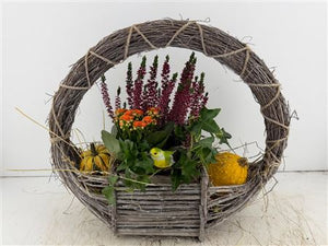 XL Hanging Basket Arrangement – 3 Plants
