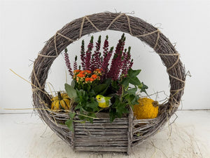 XL Hanging Basket Arrangement – 3 Plants