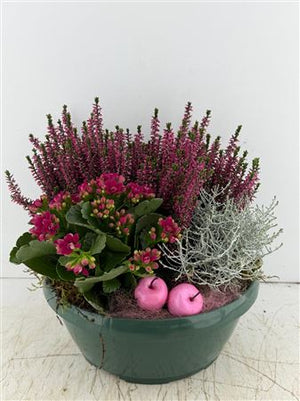 Green Houseplant Arrangement – 3 Plants