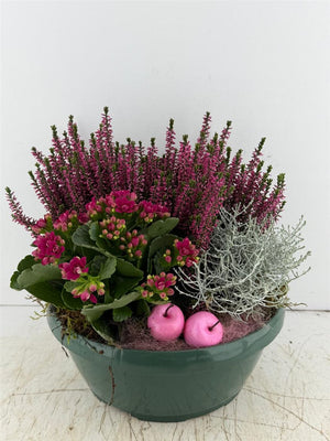 Green Houseplant Arrangement – 3 Plants