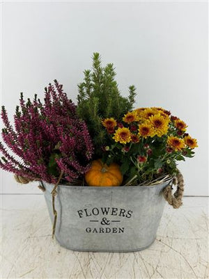 Oval Zinc Garden Flower Arrangement
