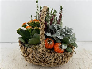 Seagrass Harvest Basket Arrangement