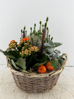Oval Decorative Plant Arrangement