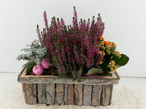 Wooden Bark Arrangement
