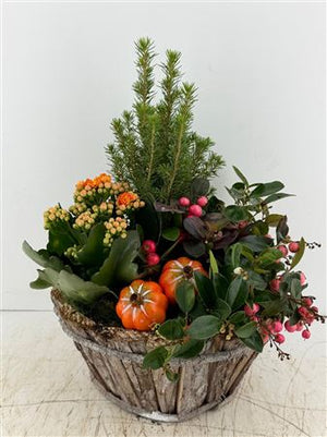 Mixed-Colour Round Bark Arrangement