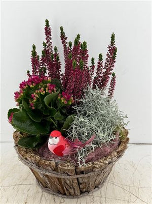 Mixed Colour Round Bark Arrangement – Set of 3