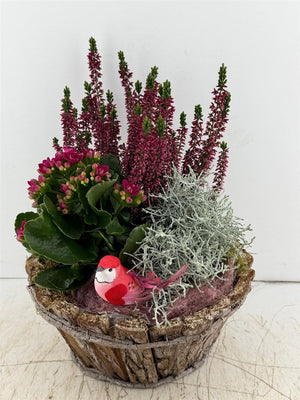 Mixed Colour Round Bark Arrangement – Set of 3