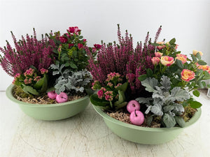 Mixed Green Arrangement in Extra-Large Zinc Bowl