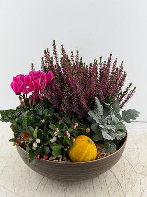 Mixed Colour XL Bowl Arrangement