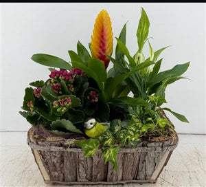 Mixed Colour Wooden Bark Arrangement