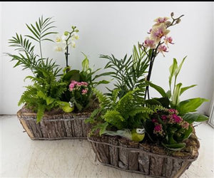 Mixed Colour Arrangement with Rectangular Bark Base