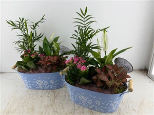 Mixed Floral Arrangement in Blue Oval Zinc Pot