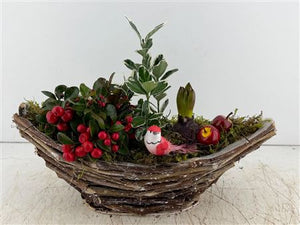 Mixed Colour Decorative Plant Arrangement