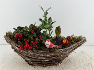 Mixed Colour Decorative Plant Arrangement