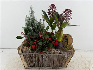 Mixed Colour Flower Arrangement