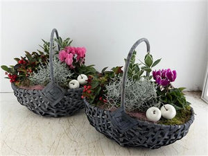 Mixed Colour Arrangement in Grey XL Harvest Basket