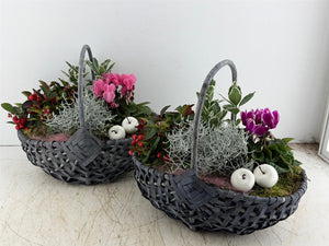 Mixed Colour Arrangement in Grey XL Harvest Basket
