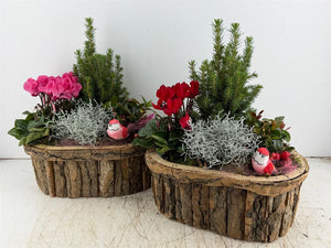 Mixed Colour Oval Wooden Bark Arrangement