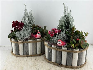 Mixed Colour Arrangement in Oval Grey and White Planter