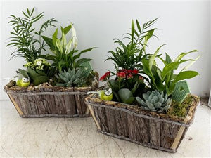 Mixed Colour Decorative Arrangement