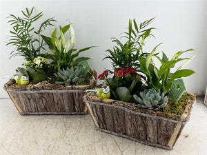 Mixed Colour Decorative Arrangement