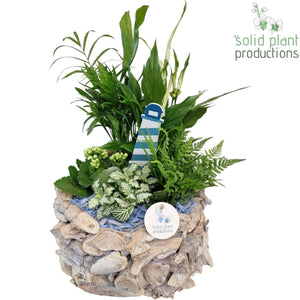White-Washed Driftwood Arrangement – 31cm
