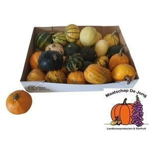 Mixed Ornamental Gourds – Decorative Fruit Collection