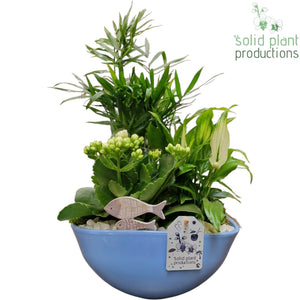 Eyleen Blue Orchid Arrangement – 25cm Oval Ceramic Pot