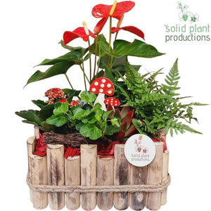 Large Maritime-Style Plant Arrangement – 30cm Wooden Pot
