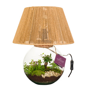 Moonlight LED Glass Terrarium – 36cm