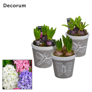 Vintage Ceramic Plant Arrangement – 13cm Pot