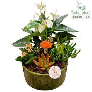 Stella Purple Orchid Arrangement – 22cm Ceramic Pot