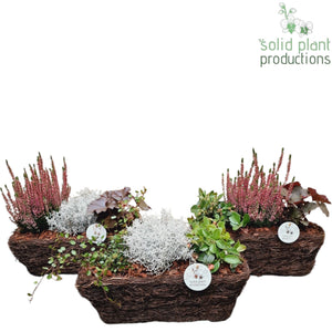 Salim Rectangular Plant Arrangement – 34cm Pot