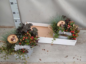XL Zinc Plant Arrangement – 25cm
