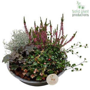 Autumn Plant Arrangement in Zinc Bowl – 30cm