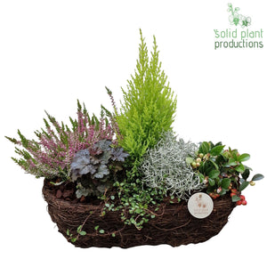 Salim Rectangular Plant Arrangement – 44cm Pot