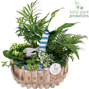 Large Maritime Style Plant Arrangement – 30cm Wooden Pot