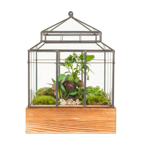 Wardian Case Terrarium – 30cm Glass Arrangement