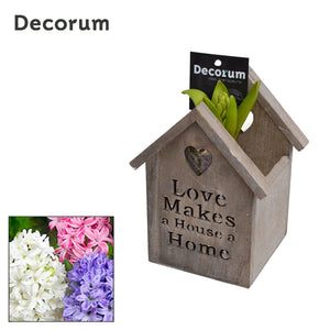 Lovely Home Wooden Birdhouse Plant Arrangement – 11cm Pot