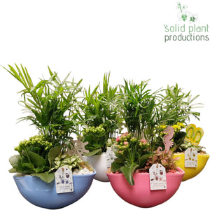 Eyleen Summer Mix Floral Arrangement – 25cm Oval Ceramic Pot