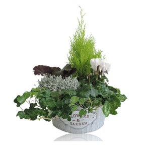 Ornamental Zinc Arrangement – 25cm Pot