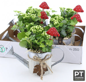 Indoor Plant Arrangement in Zinc Watering Can – 23cm